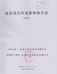 环境评价报告